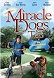Miracle Dogs Too