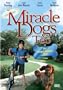 Miracle Dogs Too