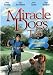 DVD : Miracle Dogs Too