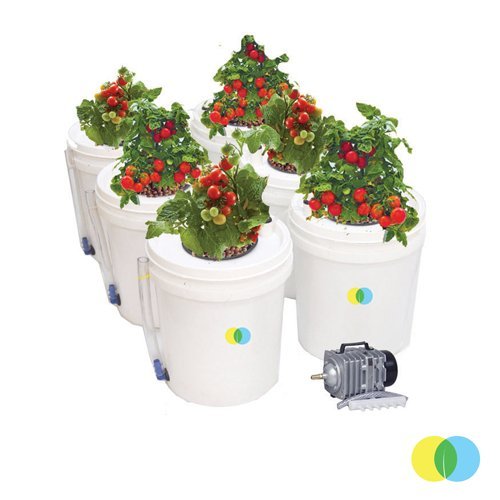 Air Bucket Hexa Hydroponic System Price In India Buy Air Bucket