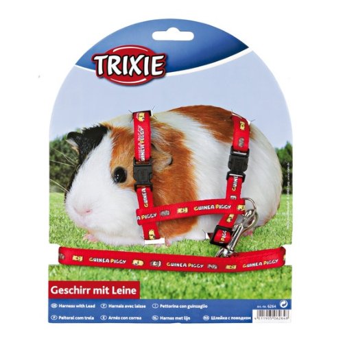 Harnais avec laisse pour cochons d'Inde, nylon, 21-35 cm/10 mm, 1,25 m - entièrement réglable Harnais avec laisse pour cochons d'Inde, nylon, 21-35 cm/10 mm, 1,25 m - entièrement réglable