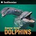 Dolphins