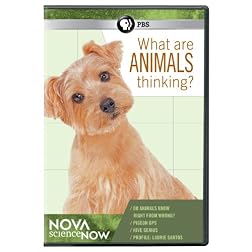 Nova Sciencenow: What Are Animals Thinking