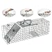 Havahart 1083 Easy Set/Release One Door Cage Trap for Small Rabbits, Skunks and Squirrels 17 x 7 x 7