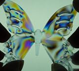 Glitterins Living Rainbow Kit - Blue Butterfly/Green Dolphin