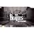 The Beatles Rock Band - Limited Edition Premium Bundle (Wii)
