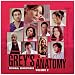 Grey's Anatomy - Volume 2