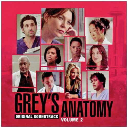 Grey's Anatomy, Vol. 2