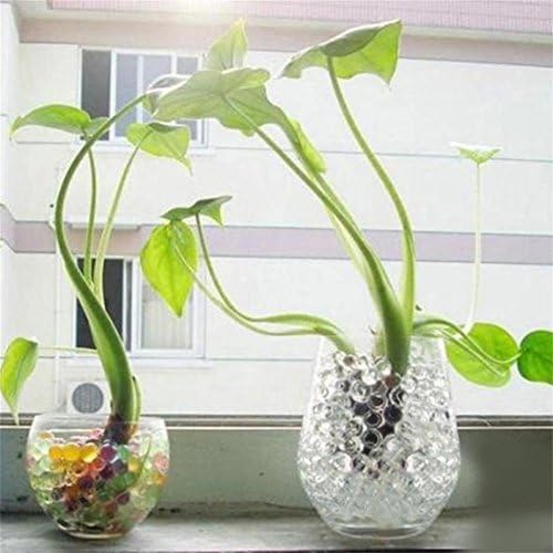 Ixiang 5000pcs Water Plant Flower Jelly Crystal Soil Mud Water Pearls Gel Beads Balls (Blue)