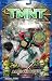 Search : Teenage Muntant Ninja Turtles Alien Hunter Raphael TMNT Action Figure Age 5 Up