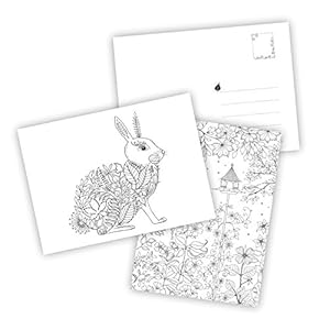 Mein Zauberwald: Postkartenbuch mit 20 herausnehmbaren Postkarten