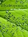 All About Hydroponics