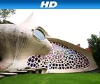 Million Dollar Rooms [HD]: Million Dollar Car Garage [HD]