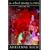 The School Among the Ruins: Poems 2000-2004