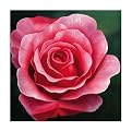 Mckenzie 1037 Original Hand-Painted Oil on Canvas by Carl Sebastian- 32x32"