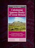 Caledonian igneous rocks of Great Britain