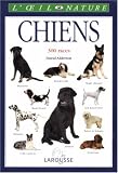 Chiens