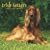Irish Setters 2009 Square Wall Calendar