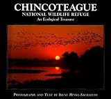 Chincoteague National Wildlife Refuge: An Ecological Treasure