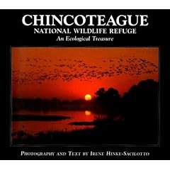 Chincoteague National Wildlife Refuge: An Ecological Treasure