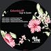 Produkt-Bild: Columbia (Dirty Culture Down and Dirty Remix)