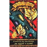 a orillas de rio piedra me sente y llore