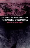The Garden of Ediacara