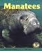 Manatees