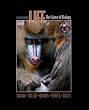 Life: The Science of Biology