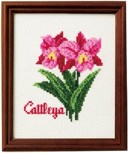 Bouquet kit / cattleya 7721 Lucien season (japan import)