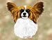 Papillon Woven Lap Square (Throw Blanket)