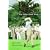 Byron Nelson: The Little Black Book