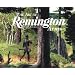 Art of Remington Arms, The