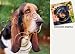 Basset Hound Dog Drink Coasters