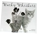 Wacky Whiskers 2008 Kitten Calendar