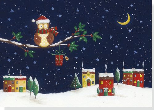 Jolly Owl Holiday Boxed Cards (Christmas Cards, Holiday Cards, Greeting Cards)