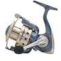 Pflueger President Spinning Reel, 195-Yards/10-Pound