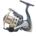 Pflueger President Spinning Reel, 145-Yards/10-Pound