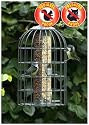 The Nuttery Extra Large Squirrel and Predator Proof 2-in-1 Nut/Seed Feeder