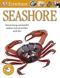 Seashore