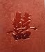 Embossed Double Happiness Lucky Money Chinese Red Envelopes / Lai See / Hongbao