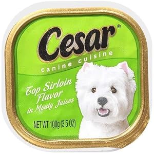 Cesar Canine Cuisine, Top Sirloin Flavor, 3.5 oz (Pack of 24)