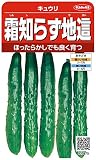 サカタのタネ 実咲野菜0470 霜知らず地這 キュウリ 10袋セット