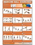 Medicine Ball Exercises - Basics Laminated (Poster)