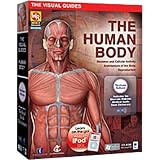 Human Body