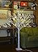 LIGHTSHARE Lighted Tree 4FT 48 LED Lighted Birch Tree for Decoration Inside and Outside, Home Patio Wedding Festival Christmas Decor, Warm White