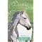 Winnie the horse Gentler