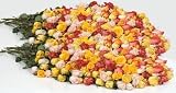 Send Fresh Cut Flowers - 400 Long Stem Assorted Roses