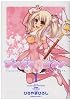 Fate/kaleid liner プリズマ☆イリヤ (1) (角川コミックス・エース 200-1)