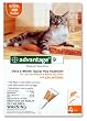Advantage Once-A-Month Topical Flea Treatment for Cats & Kittens up to 9 Lbs (4 Applications)